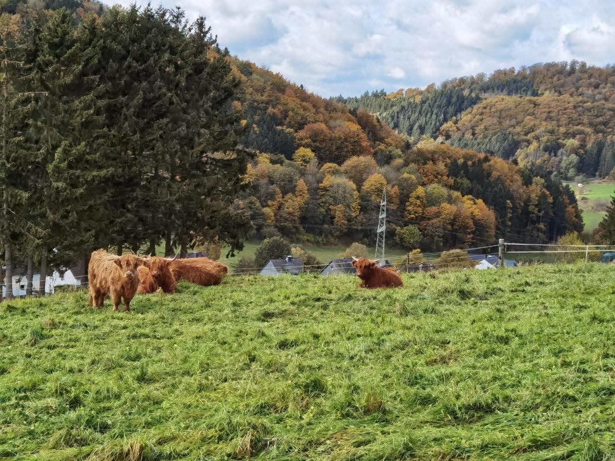 Ferienhaus Waldblick Hohenfels-Essingen ภายนอก รูปภาพ